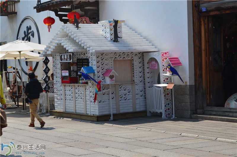 DSC_0106 - .jpg