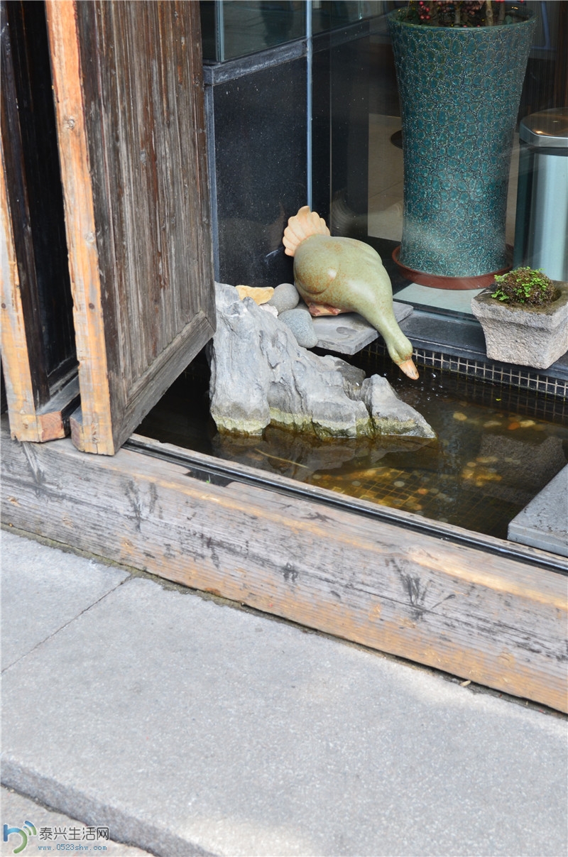 DSC_0114.jpg
