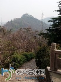 langshan7.jpg