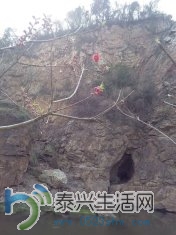 langshan16.jpg