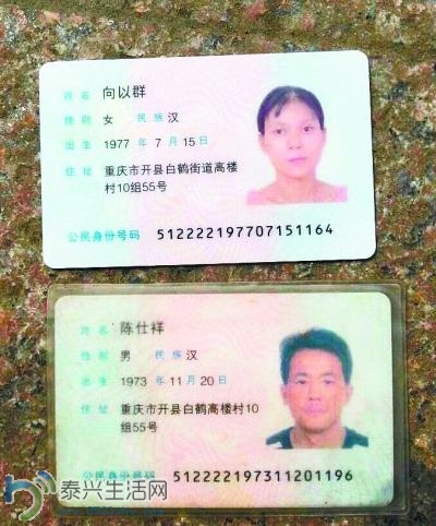 100772210.jpg