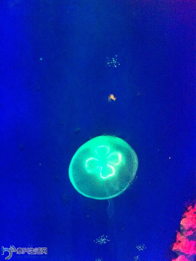 照片2013 1504.jpg