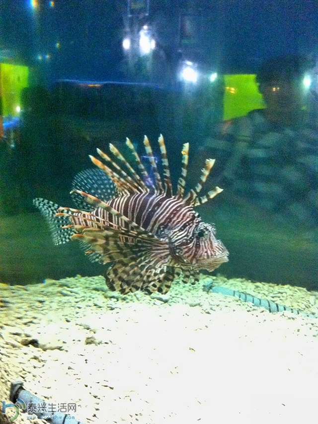 照片2013 1512.jpg