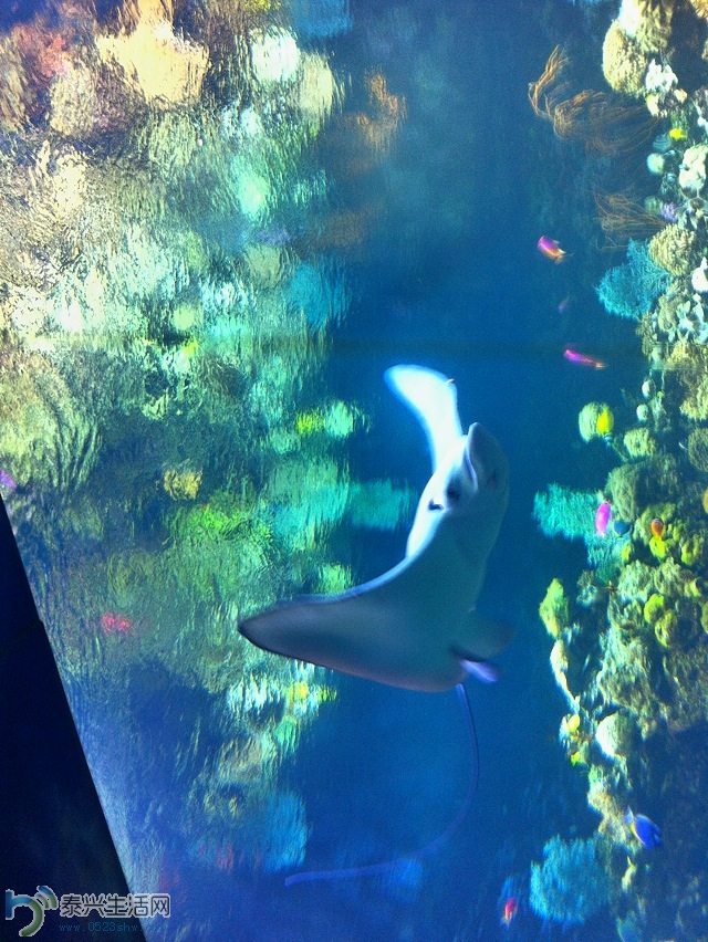照片2013 1336.jpg