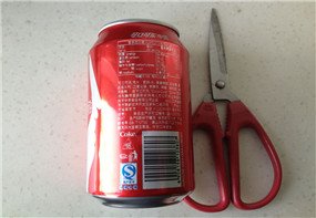 95731101.jpg