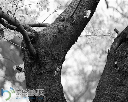 0023aea5a95c149da54c46.jpg