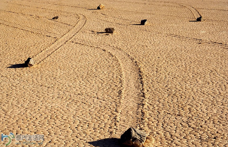 W020140401246979642289.jpg