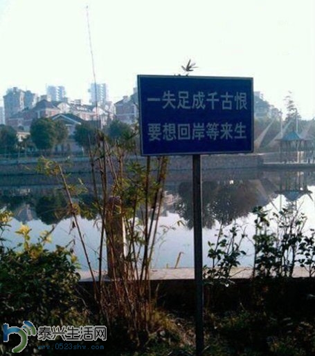 f240f078a2882bb1dea74df3142368f6_560x515.jpg