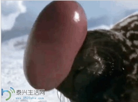 s_1ff7a62c335e4b0d9d01704d91086338.jpg