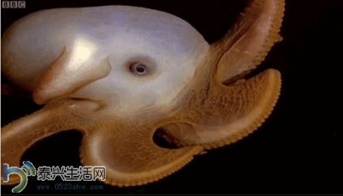 s_5f80a129e5f546679dbe59ecb0cef6b7.jpg