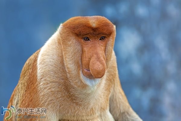 s_6a12d52a73d646d5b7b587db5fc3627f.jpg