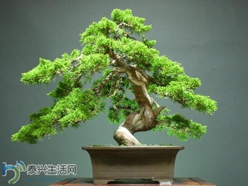 20140414101617786.jpg