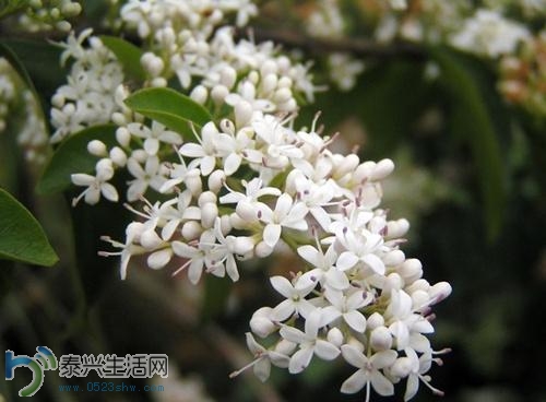 20140414101618413.jpg
