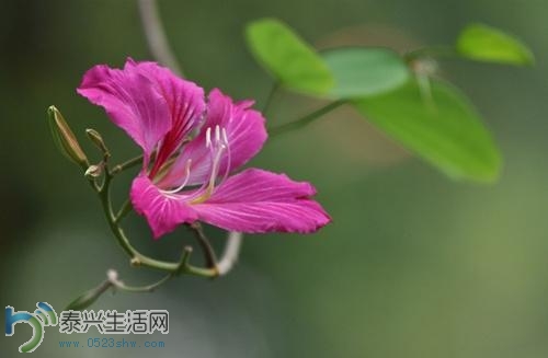 20140414101618948.jpg