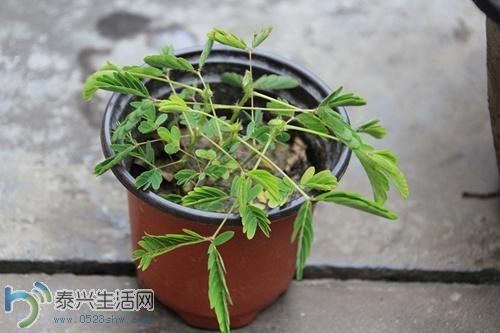 20140414101619504.jpg