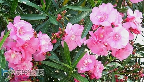 20140414101619765.jpg