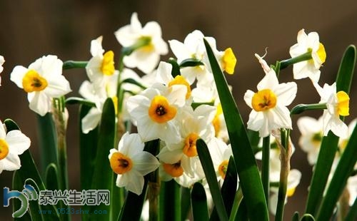 20140414101620776.jpg