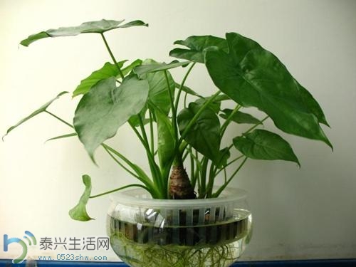 20140414101621037.jpg