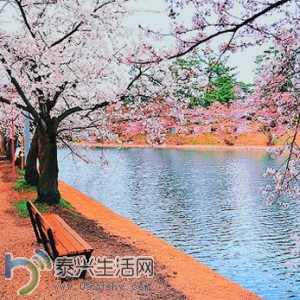 140256mmoezwxusie9m88p-300x300.jpg