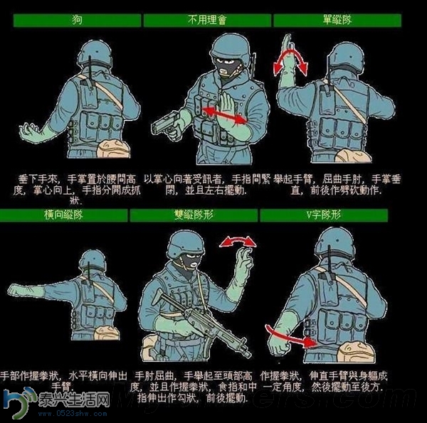 s_50e87065f20e4096b8c09d3846aa2c64.jpg