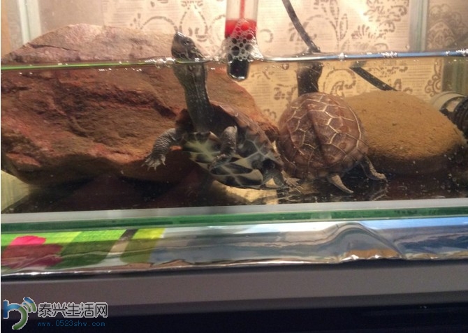 QQͼ20140419143843.jpg