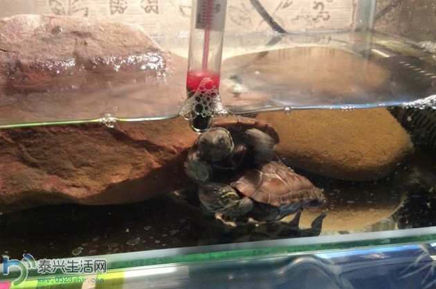 QQͼ20140419143900.jpg
