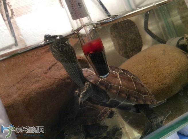 QQͼ20140419143917.jpg