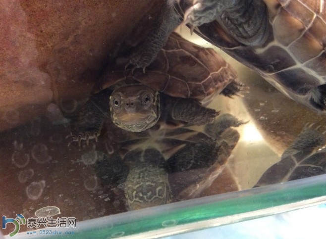 QQͼ20140419143925.jpg
