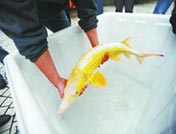 20140419084503_32134.jpg