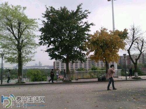 app69546544.jpg