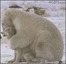 1_820f64421066f61864bf041c1a60a46e_0.gif