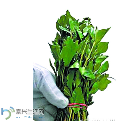 QQͼ20140424150548.png