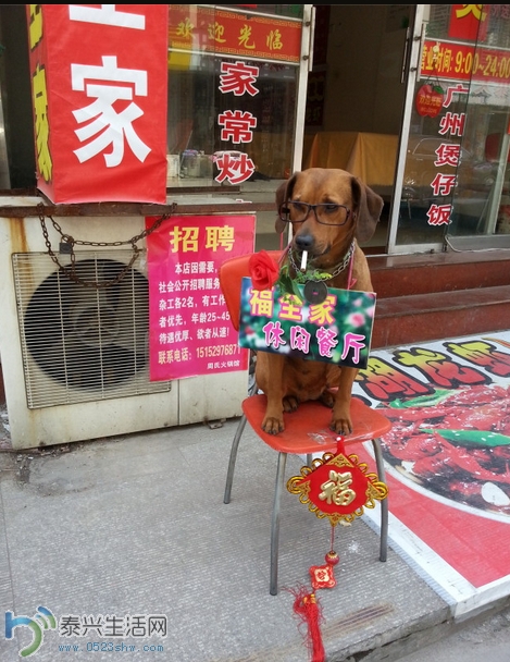 QQͼ20140505124031.jpg