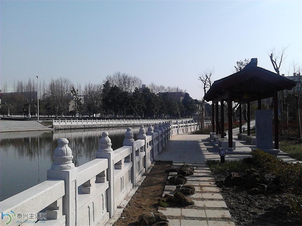 IMG_20130101_131236.JPG