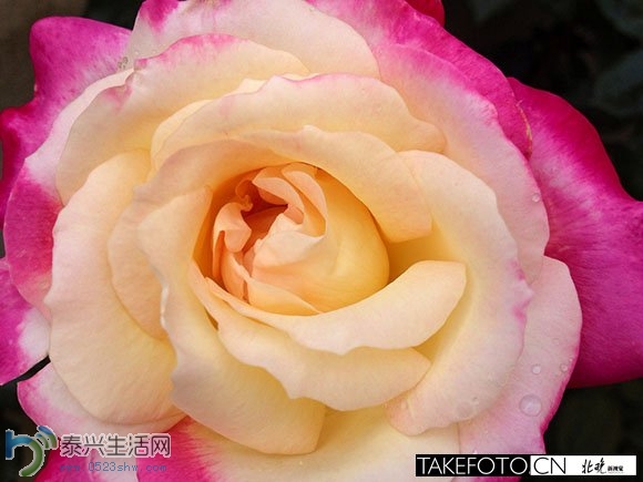 rBUyIlNzHjCKtqhGAACqhAnMCp4422.jpg