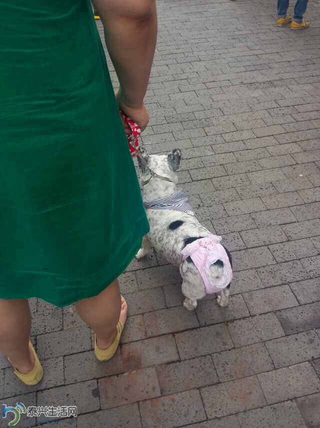 201405252107291.jpg