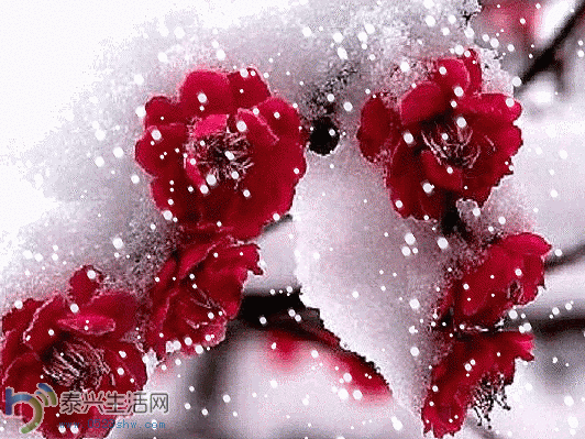 rBUyIlLfJLKeNm8FAALylS8kDg8559.gif
