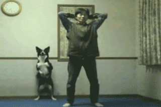 6C41CFDEDEDC.gif