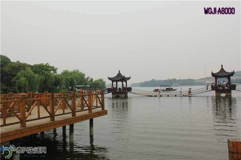 Ŀ82.jpg