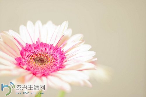 1406121-4.jpg