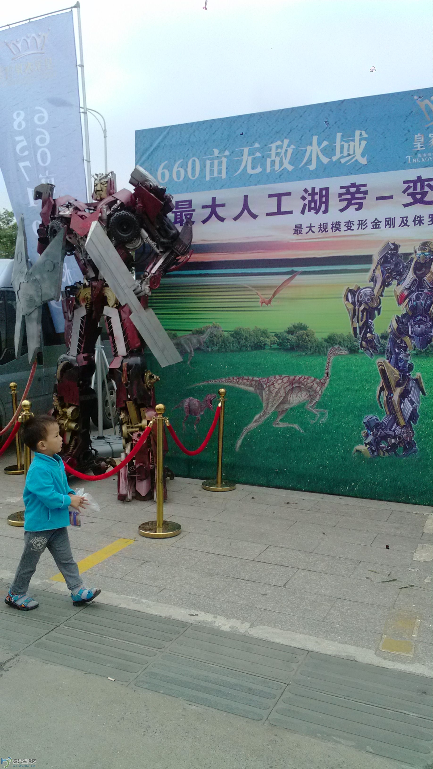 IMG_20140621_104519.jpg