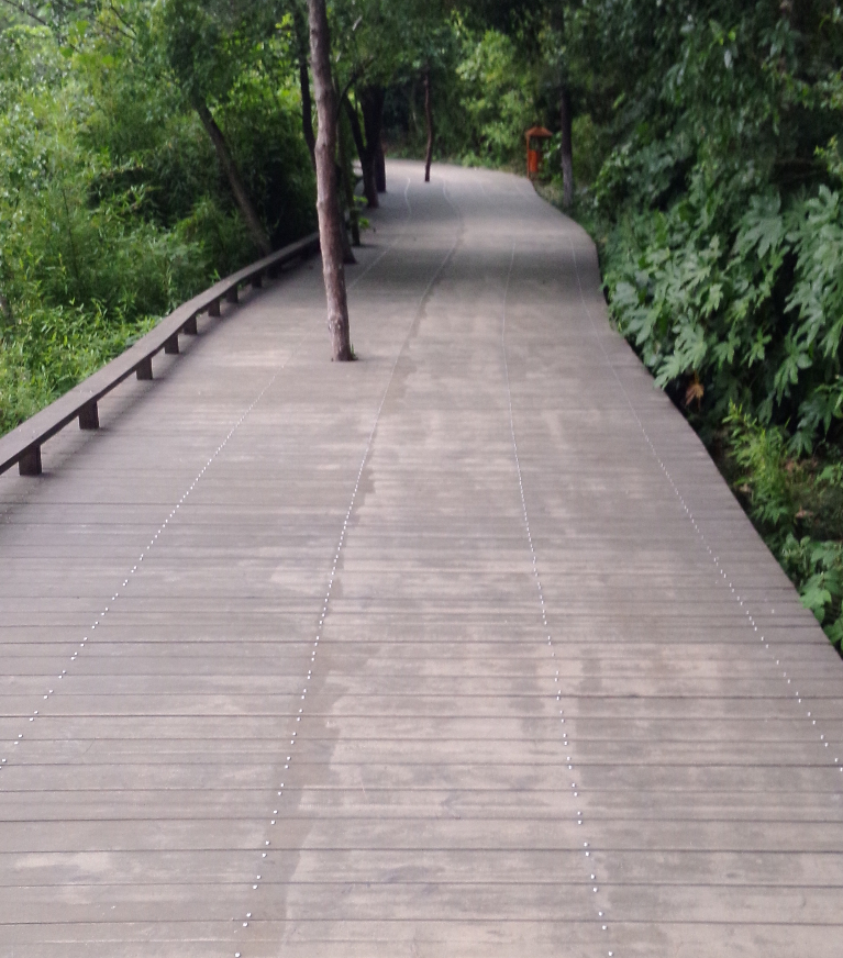 20140623093143_12587.jpg