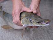 20140626062204_99431.jpg