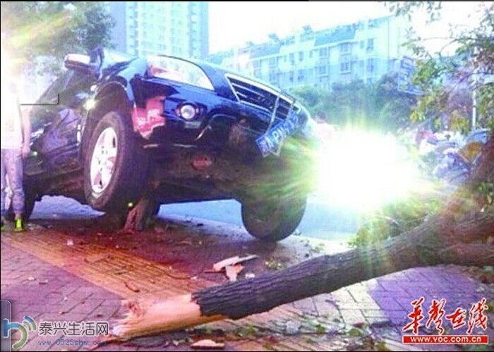 QQͼƬ20140629091926.jpg