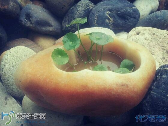QQͼƬ20140629102511.jpg