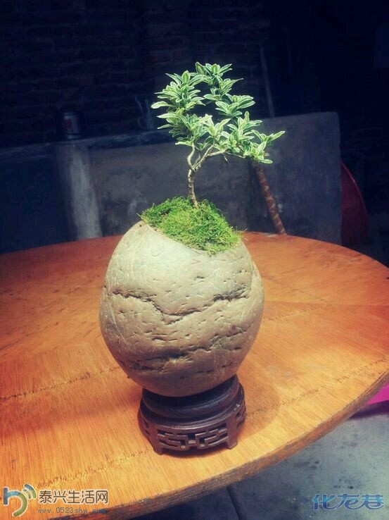 QQͼƬ20140629102613.jpg