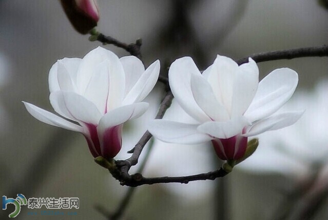 QQͼƬ20140630152610.jpg