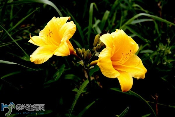 QQͼƬ20140630152638.jpg