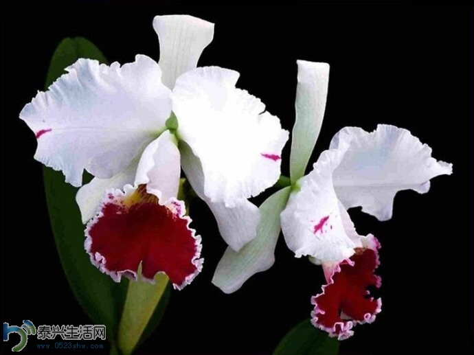 QQͼƬ20140630152629.jpg
