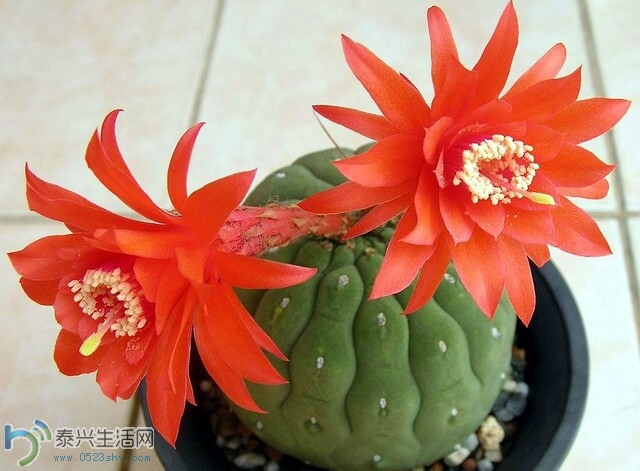 QQͼƬ20140630152650.jpg
